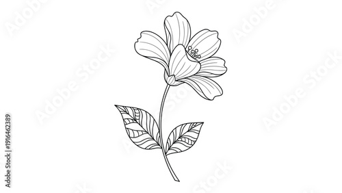 Detailed black and white line art of a single flower with intricately patterned leaves perfect for creative coloring and botanical art.