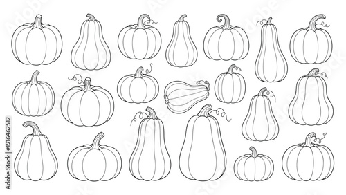 Large variety of detailed line art sketches featuring different shapes and sizes of pumpkins and winter squashes for autumn and Halloween decorations.