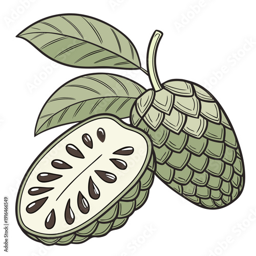 Sugar Apple Custard Apple Whole and Halved Vector Illustration Transparent Background
