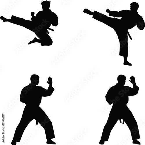 Martial arts silhouette poses
