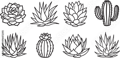 Collection of Succulent and Cactus Line Art Icons for Design Isolated on white background