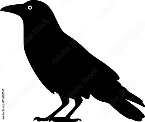 Silhouette of a crow standing on a plain background with one eye visible