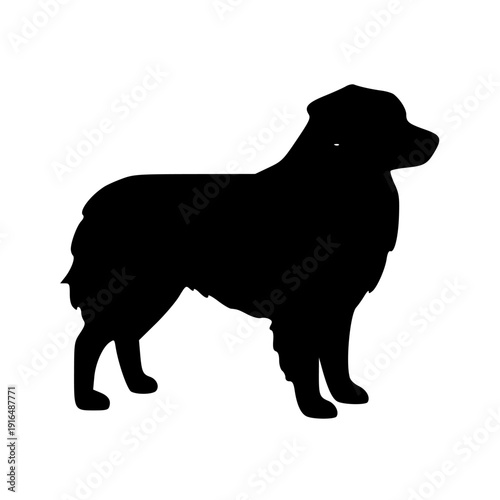 Silhouette of a standing dog with thick fur and alert ears