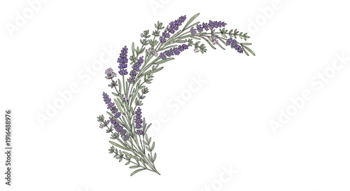 Lavender Floral Decorative Corner Frame with Botanical Leaves and Purple Flowers, Elegant Wedding Invitation Border, Romantic Nature Ornament, Hand Drawn Style Vector Illustration
