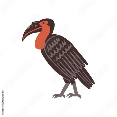 Southern Ground Hornbill bird vector illustration in flat style.