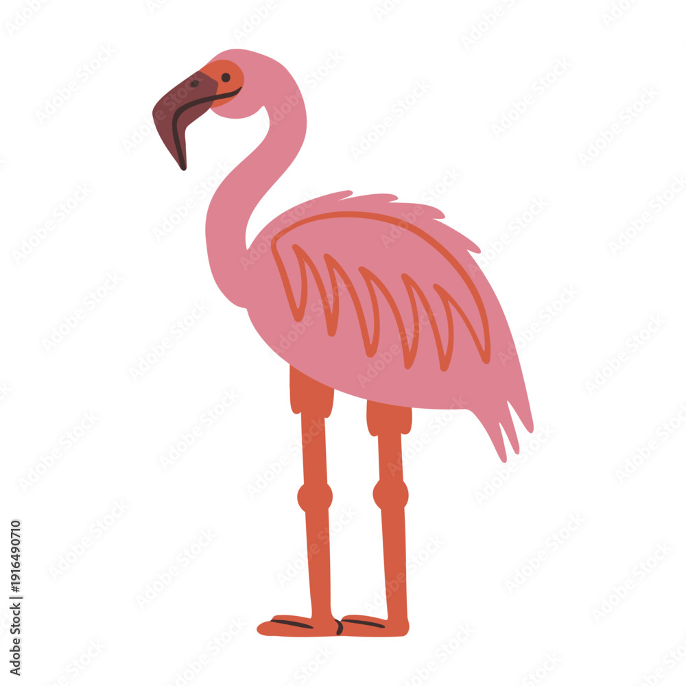 Fototapeta premium Pink exotic flamingo bird standing. Vector kids illustration in simple hand drawn cartoon style.