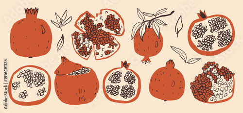 Red pomegranate fruit whole and cut halves with seeds and leaves set. Hand-drawn organic food design