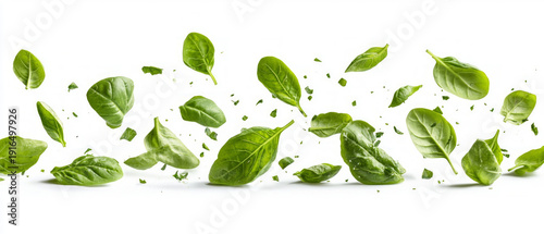 Green spinach leaves flying through the air create a dynamic composition, ideal as a bright, atmospheric backdrop for advertising healthy eating.