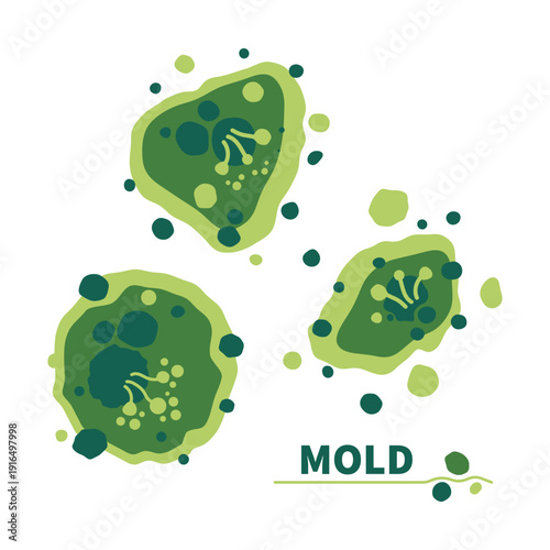 Green fungus spores growth vector illustration set.