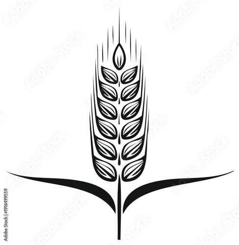 Isolated wheat ear illustration. Single cereal grain spikelet harvest sign on white.