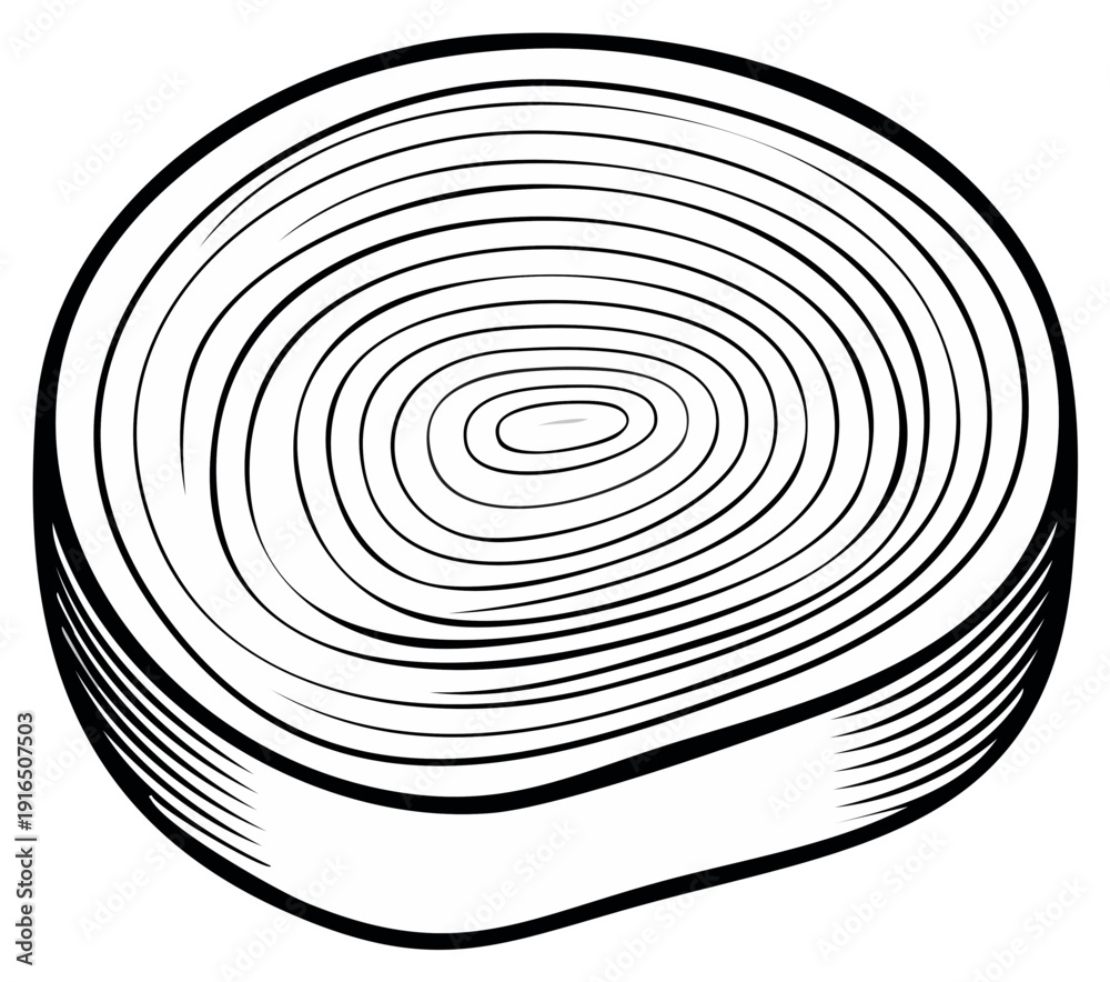 Fototapeta premium Leek Slice Vector: Black and White Illustration of Cut Round Vegetable