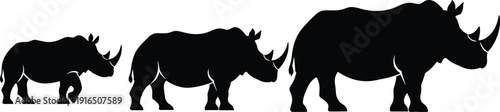 Black silhouettes of three rhinos of different sizes rhinoceros white background animal