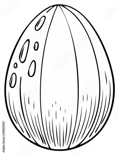 Hand-drawn sketch of a textured, oval-shaped object with decorative lines and circles.