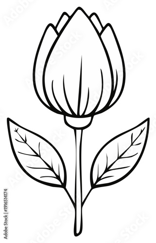 Simple Flower Outline Illustration of Unopened Blossom with Leaves on Stem