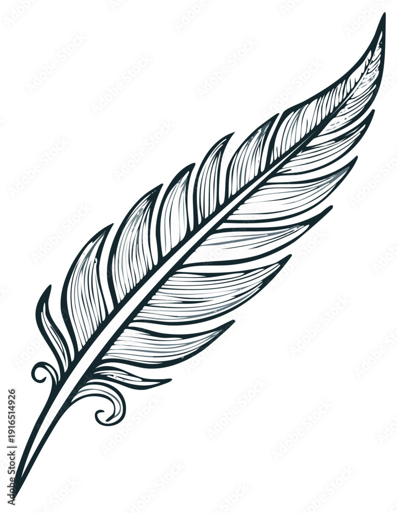 Fototapeta premium Hand Drawn Bird Feather Illustration in a Vintage Engraved Style Line Art