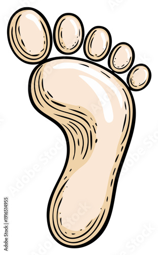 A single illustration of a stylized human foot with five toes in beige and brown