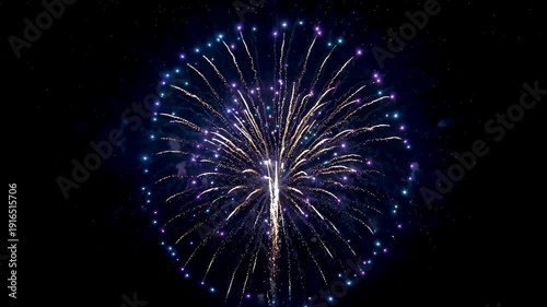 Brilliant fireworks in the night sky