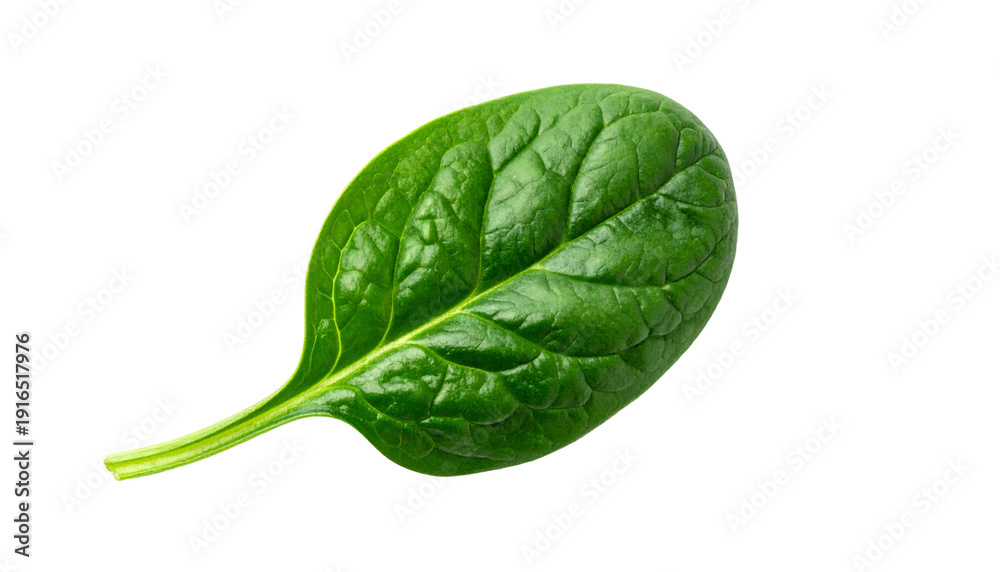 Fototapeta premium Isolated shot of a single, vibrant green leafy vegetable, showing textured surface details against a stark black background