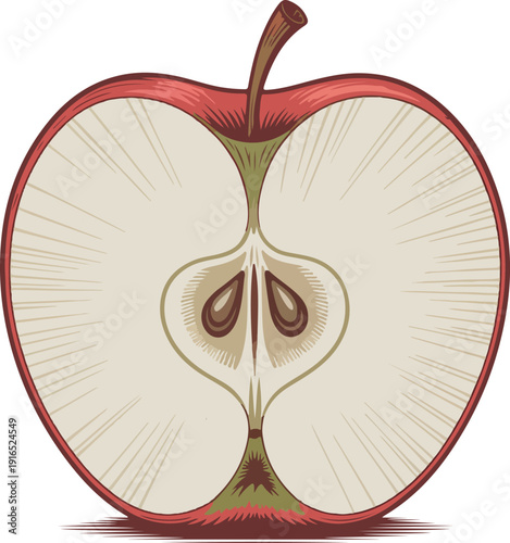 Red apple cut in half showing seeds and stem fruit