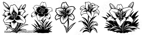 Collection of five different lily flower designs in various black and white graphic styles