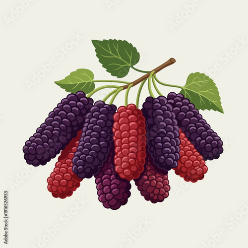 Mulberries on a Branch with Leaves.