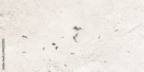 A vintage grunge backdrop featuring a rough white wall texture and old paper material with a dirty gray cement pattern on a blank concrete surface
