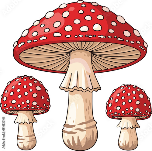 Vector illustration of three red amanita muscaria mushrooms with white spots for forest and nature design।