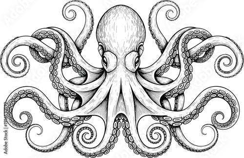 Detailed hand drawn octopus illustration with tentacles, vintage marine engraving style, black and white ocean animal artwork