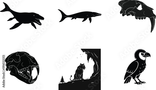 Silhouette images of various animal species