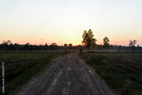 sunset over the field