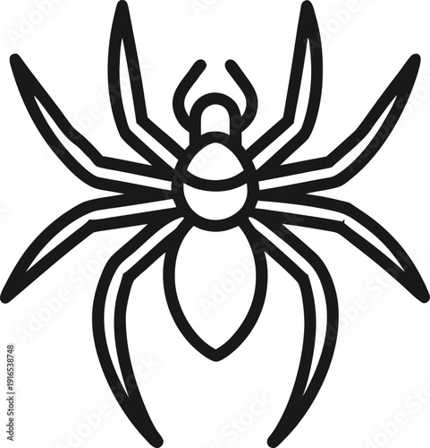 Spider. Simple icon. Outline contour vector isolated illustration. white background
