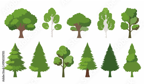 Tree collection vector illustration with deciduous and coniferous forest foliage in flat summer style