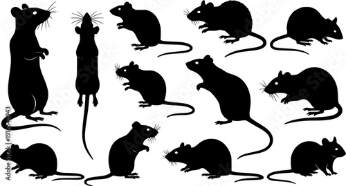 Collection of black silhouettes of mice and rats.
