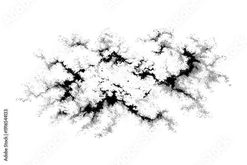 Fractal pattern in abstract black and white design with organic lines and intricate details