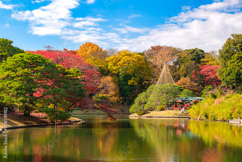 東京都文京区 秋晴れの六義園