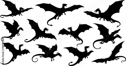 Flying Dragon Silhouette Collection
