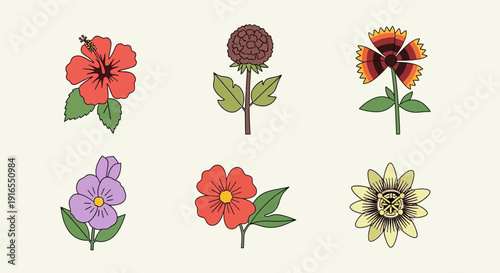 Collection of Colorful Flowers and Buds.
