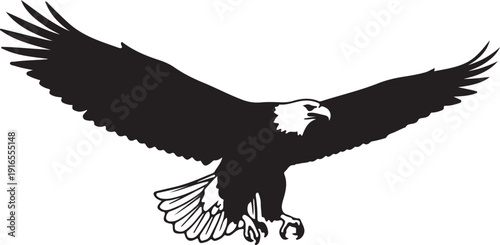  Bald Eagle in silhouette on white background..