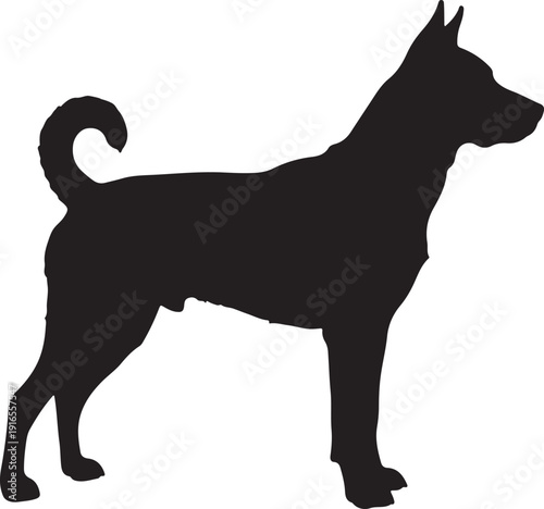 Mountain cur dog on white background.