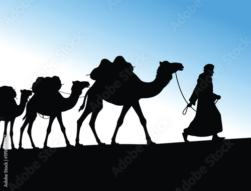 Man leading camel silhouette on white background