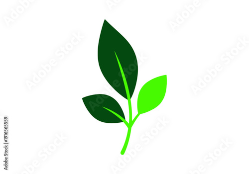 Green Leaves Branch Growing Plant Nature Symbol.