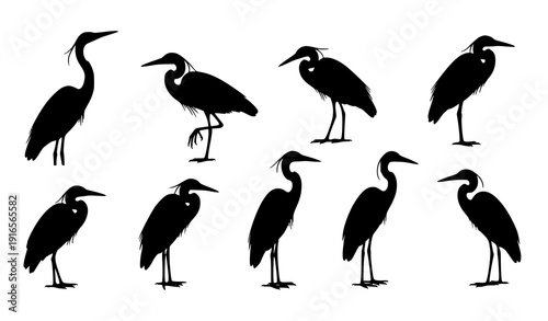 Elegant heron silhouette vector set with standing bird poses minimalist design