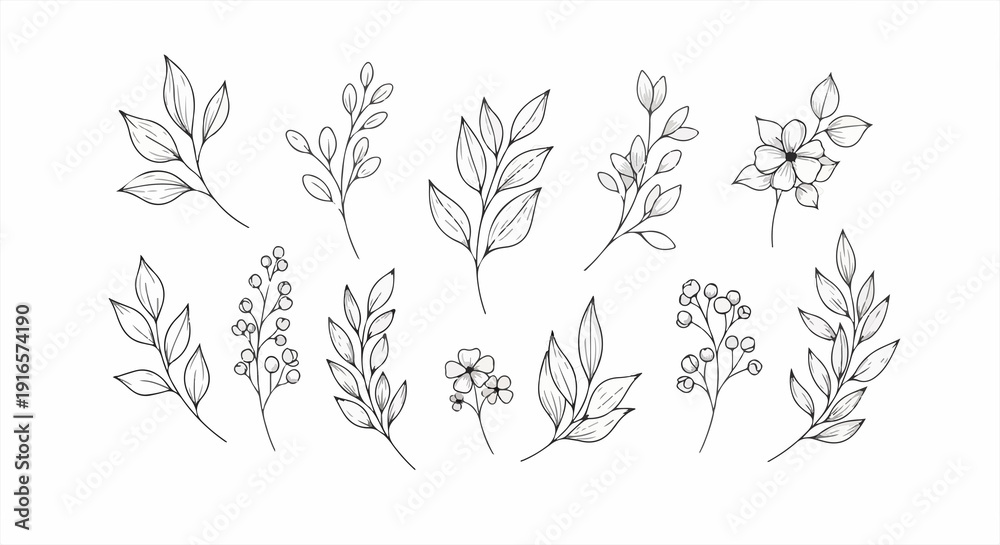 Fototapeta premium Minimalist Hand Drawn Floral Branch and Leaf Collection - Sketch Botanical Elements