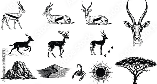 African wildlife illustration set with antelope, gazelle, deer, scorpion, savanna tree, sun, desert elements vector collection isolated