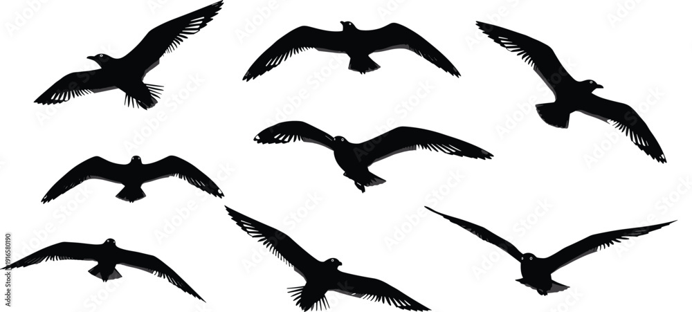 Fototapeta premium Flying bird silhouettes collection, black raven crow seagull shapes, isolated set, wildlife nature illustration, wings spread, sky freedom concept