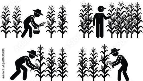 Farmer harvesting corn crops in field, agriculture farming activity silhouettes vector illustration isolated on white background rural cultivation concept