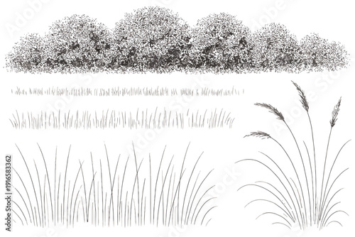 set of grass and trees,
Forest Line Grass Blocks – Clean CAD Collection