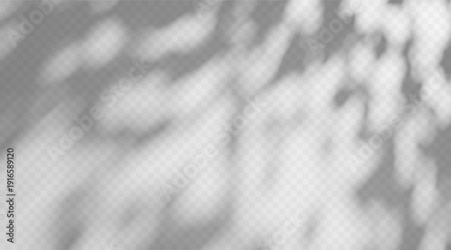 Shadow overlay dappled light on a transparent background.