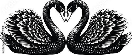 Black and white illustration of two graceful swans facing each other forming a heart shape for wedding, romance, love and elegant nature concepts