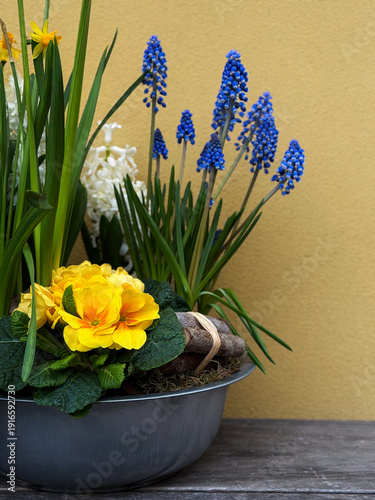 A mix of fresh spring flowers, vibrant colors, detailed petals, and lively greenery